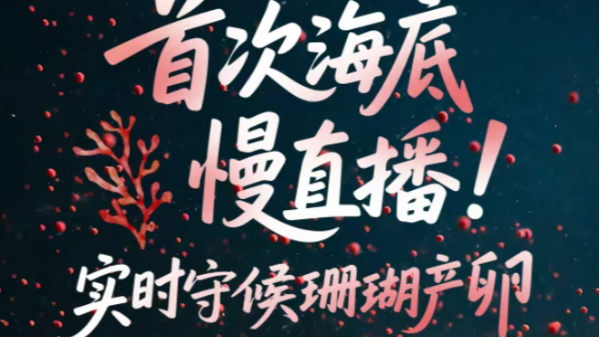 海康威视首次海底慢直播！携手潜爱蹲守珊瑚产卵