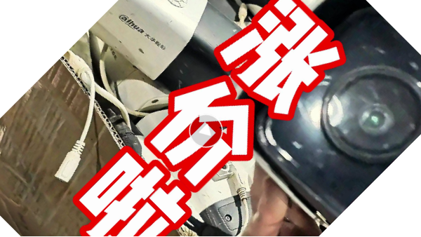 安防行业三巨头生死局：海康大华流血狂奔，未上市黑马却逆势狂欢？